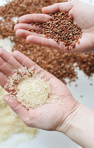 Rice in About us copy